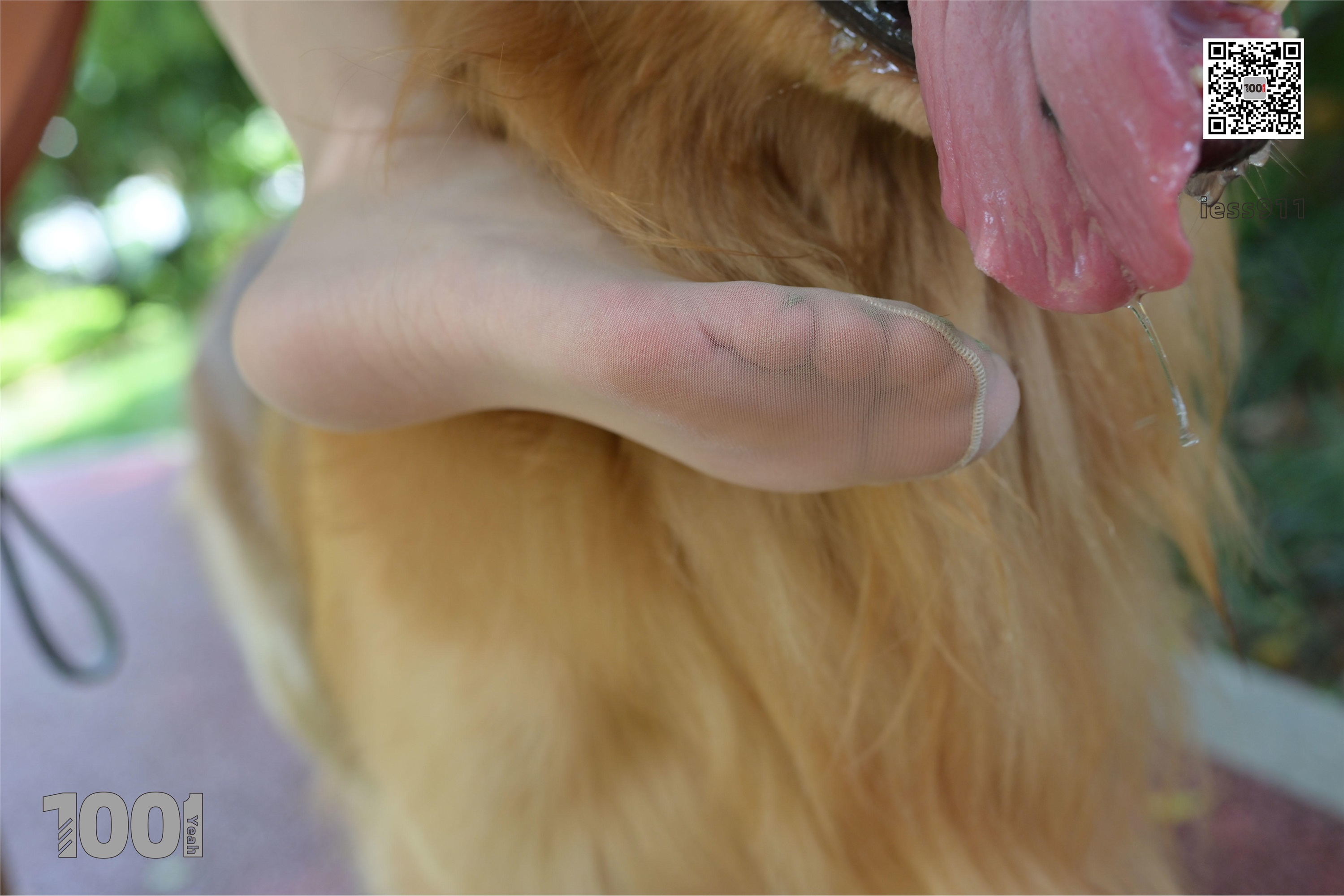 IESS异思趣向 一千零一夜 模特：真真《家有萌宠1》